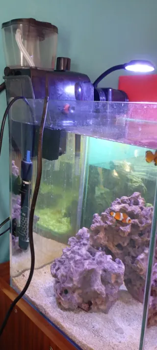 Acuario Marino Completo