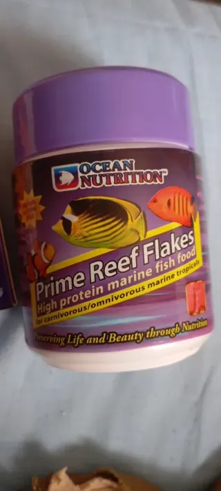 Acuario Marino Completo