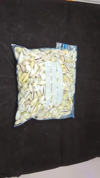 Lote di conchiglie cauri e porcellane