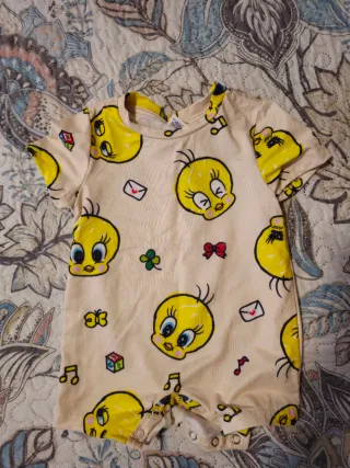 Lote Ropa Bebé Niña 6-12 Meses (40 Prendas)