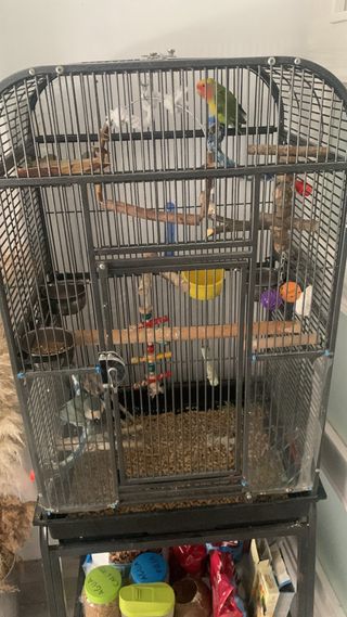 Jaula para pájaros con ruedas