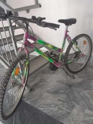 Bici da donna colorata