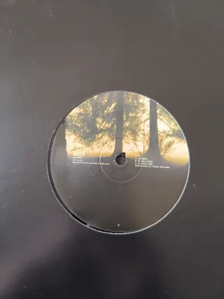 Lote 8 Vinili Deep Techno