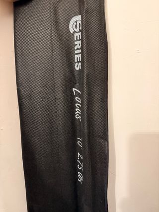 Caña de pescar Carpfishing Prologic Lotus 10'