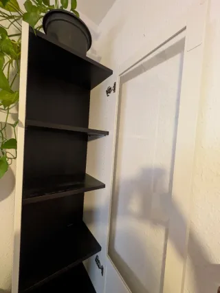 Librería Billy Ikea con puerta