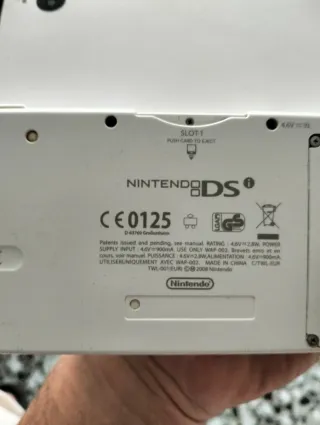 Nintendo DSi + Gioco Flipper Critter