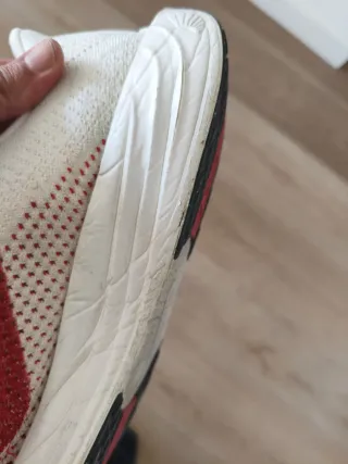 Zapatillas Nike Zoom Pegasus plus