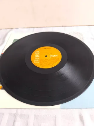 Rick Astley - Hold Me In Your Arms. 1988 Lp