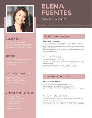 CV Profesional + LinkedIn + Carta de Presentación