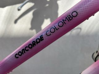 Bicicleta Retrobike Holandesa Mujer