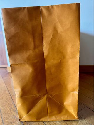 Busta Louis Vuitton Arancione
