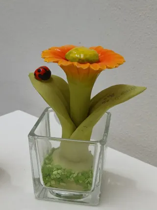 Piante decorative made in Italy