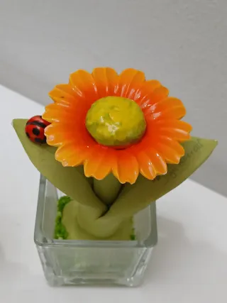 Piante decorative made in Italy