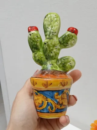 Piante decorative made in Italy