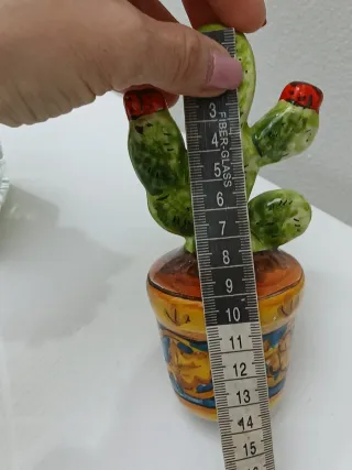 Piante decorative made in Italy