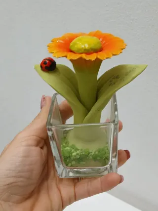 Piante decorative made in Italy