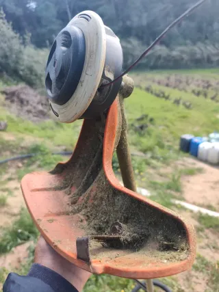 Desbrozadora Stihl FS 55 AC 26-2T