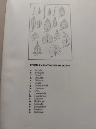 Libro "Plantas de los caminos de La Rioja"
