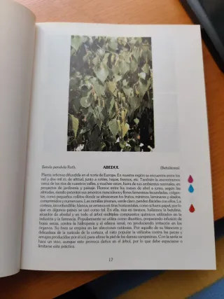 Libro "Plantas de los caminos de La Rioja"