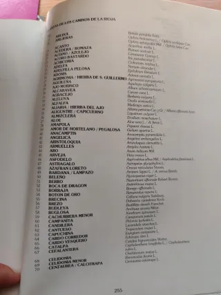 Libro "Plantas de los caminos de La Rioja"