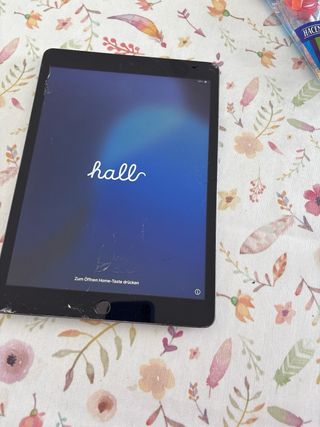 iPad 9ª Gen 256GB WiFi Gris