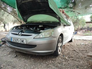 Peugeot 307 2012