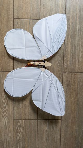 Mariposa Biónica RC