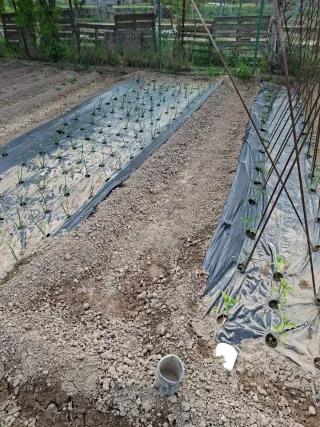 Malla plantar especial