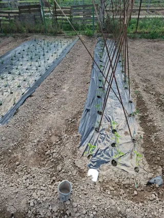 Malla plantar especial