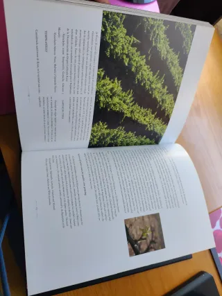 Bodegas Riojanas S.A., 1890-2005 trayectoria hi...