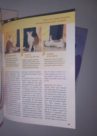 Lote 5 libros Afirmaciones - Meditación - Gatos