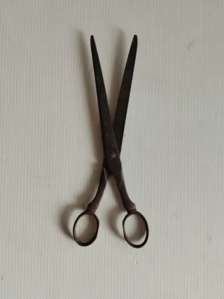 Bilancia Romana e Forbici Antiche