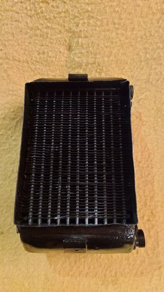 Radiador Calefacción Derecho Adenauer W186/9