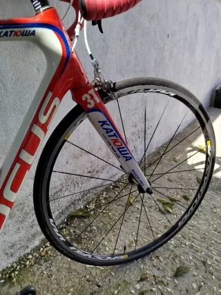 Bicicleta de carretera Focus roja talla 56