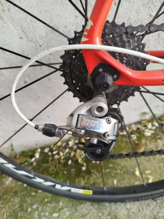 Bicicleta de carretera Focus roja talla 56