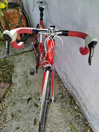 Bicicleta de carretera Focus roja talla 56