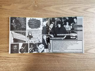 Vinilo La Uvi - Lo que necesitas es punk rock