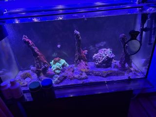 Pecera 180L Equipada