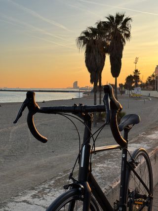 Bicicleta Carretera Van Rysel Shimano 105
