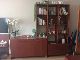 Mueble con estantería de madera