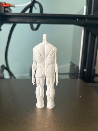 Figura Titan Colosal