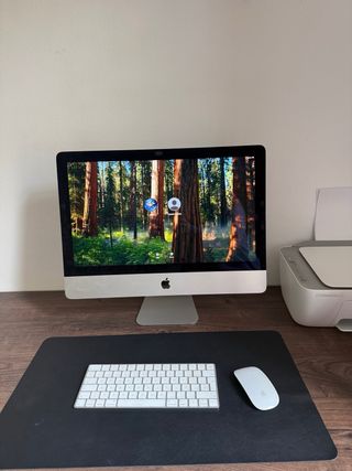 iMac Retina 4K 21.5 Plata