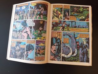 Retapado Conan el Bárbaro (Forum, años 80)