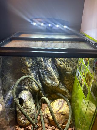 Terrario Exo Terra Completo