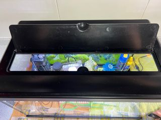 Acuario 45L casi nuevo con accesorios