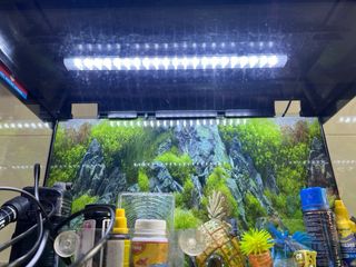 Acuario 45L casi nuevo con accesorios