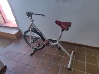 Bicicleta Estática BH Vintage