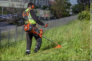 Limpieza de fincas y jardines