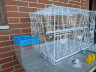 Jaula para pájaros blanca con accesorios