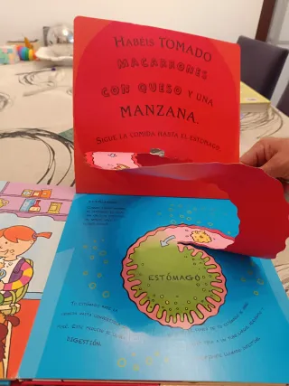 Mi primer libro de anatomía (Spanish Edition)